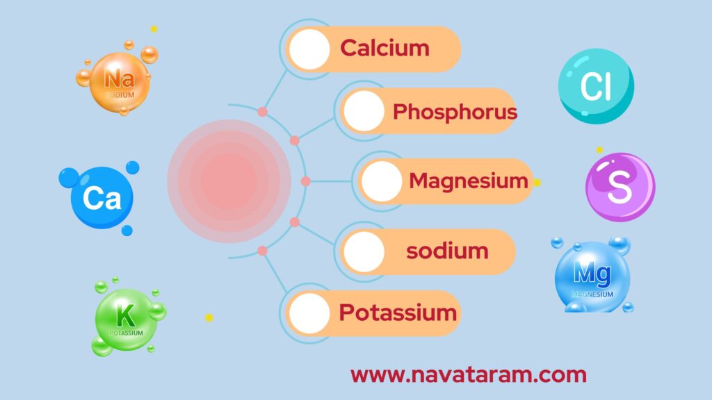 vitamins and minerals in food