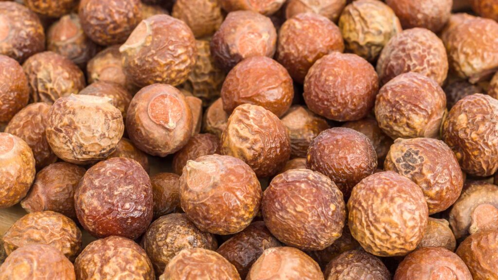 Soap Nuts in Ayurveda