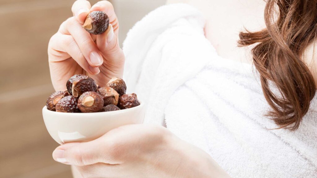 Types of Soap Nuts