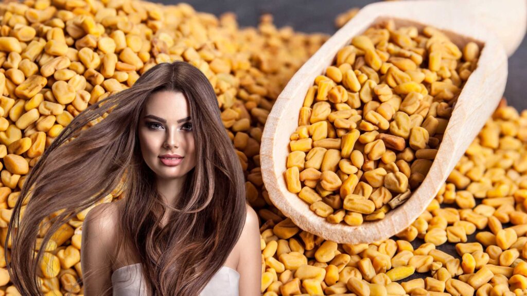 fenugreek(Methi) for hair growth and benefits