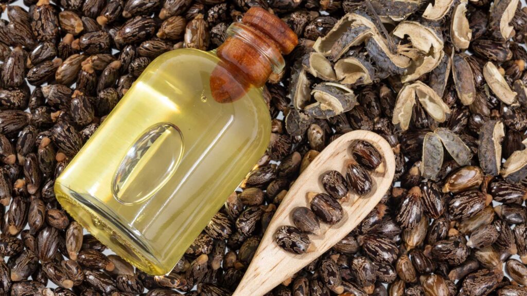 tips for hair growth with castor oil